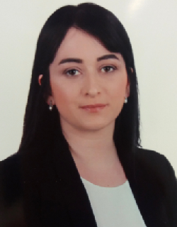 Irem_Comert_TSKBGD